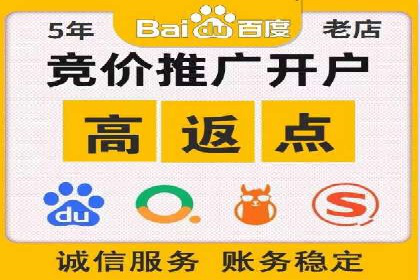 从零到一：企业如何通过百度竞价实现快速增长？——以某公司为例